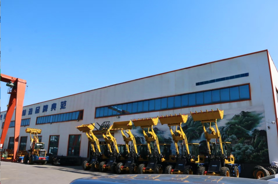 SEM نصف رمح كم الجوز